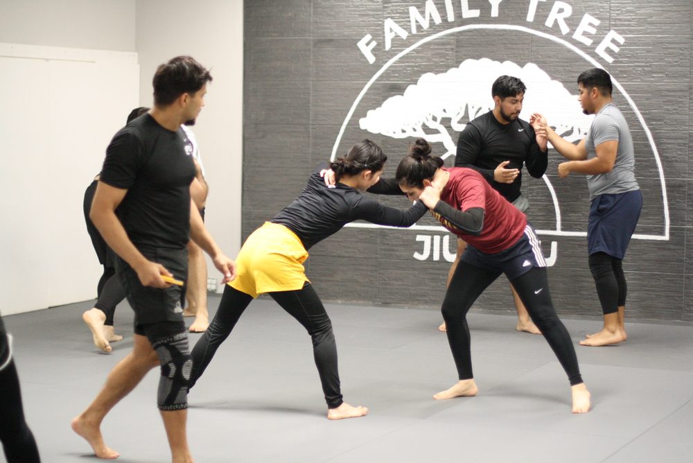 A class working stand-up technique together on the mats